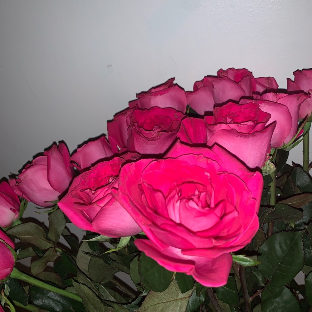 Meet your Posher☺️